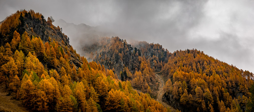 Platz 1 Robert Seitz